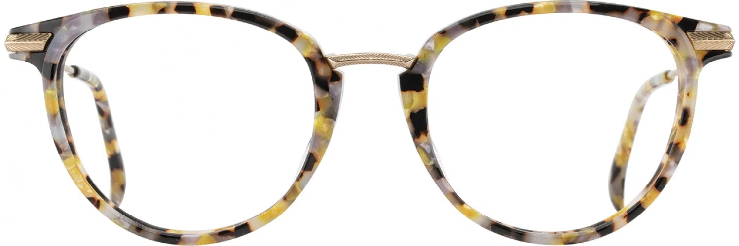 STATE Optical Co. DUSABLE Eyeglasses - view 14